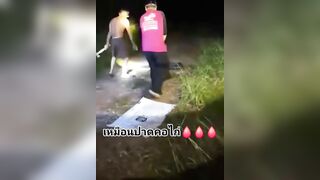 Man Bleeding After Being Bitten By Python in Thailand