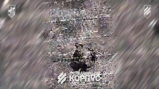 VIVALDI: Dead Russians by 3rd Brigade. #11