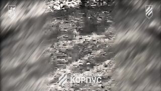 VIVALDI: Dead Russians by 3rd Brigade. #11