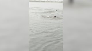 Man, Woman Trying To Save Relatives Drown In Ganges River