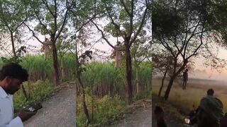 Lakhimpur Kheri Couple Picks "Hanging Out" as Their Reunion Activity