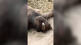 Victim Of Ruthless Murder Discovered In The Dirt