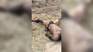 Victim Of Ruthless Murder Discovered In The Dirt