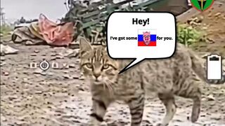 A cat’s sharp senses gave a Ukrainian fiber-optic.