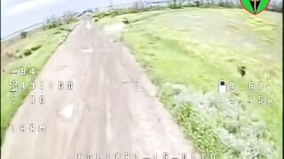 A cat’s sharp senses gave a Ukrainian fiber-optic.