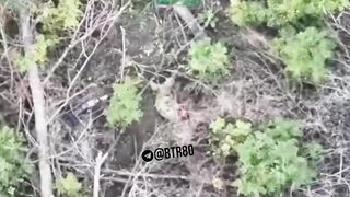 RUSSIAN KILLER TOYINGAND KILLIING KHOKHOLS IN UKRAINE