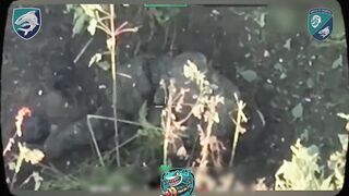 Dead Russians by Flying Shark. #2