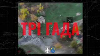 Russian scooter mafia has fallen into a trap.