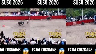 A man was killed by a bull in Peru.