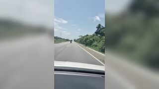Motorcyclist Swerves Into Oncoming Lane and Crashes Into Truck in Suspected Intentional Collision