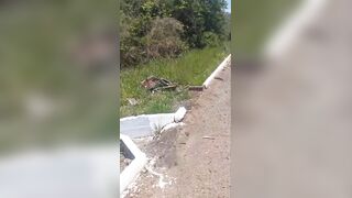 Motorcyclist Swerves Into Oncoming Lane and Crashes Into Truck in Suspected Intentional Collision