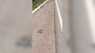 Motorcyclist Swerves Into Oncoming Lane and Crashes Into Truck in Suspected Intentional Collision