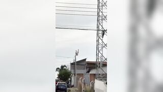 Man Jumps From A Cell Tower In Brazil, Dies On Spot