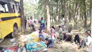 Chhattisgarh Bus Driver Picks Tree for a Hug Instead of the Road