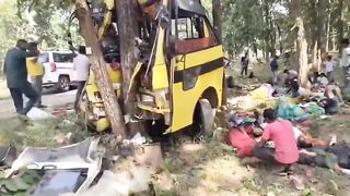 Chhattisgarh Bus Driver Picks Tree for a Hug Instead of the Road