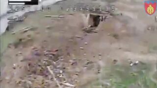 Corpse of ruzky monkey flies off to 15 meters
