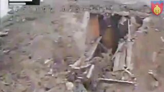 Corpse of ruzky monkey flies off to 15 meters