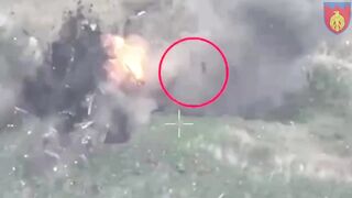 Corpse of ruzky monkey flies off to 15 meters