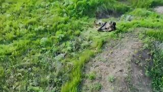 COLOMBIAN FEMALE MERCENARY WOUNDED IN OREKHOVSKY