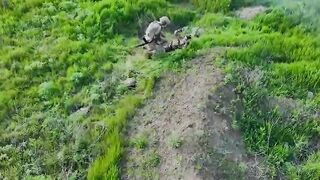 COLOMBIAN FEMALE MERCENARY WOUNDED IN OREKHOVSKY