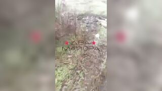 UKRAINIANS MASSACRED BY RUSSIANS IN DOBROPOLYE