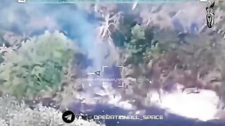 A MLRS HIMARS destroyed.