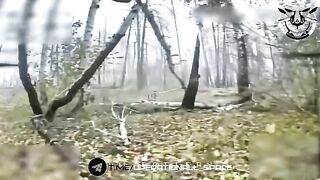 Shit camouflage.