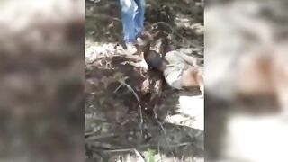 Unmerciful Cartels (Compilation)