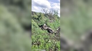 COUNTLESS DEAD UKRANIAN SOLDIERS