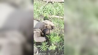 COUNTLESS DEAD UKRANIAN SOLDIERS