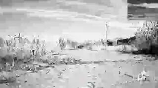 DRONES STALKING AND KILLING UKRANIAN UKRAINIANS IN PEREMOGA