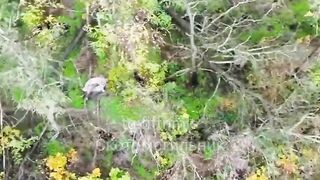 Ukrat, dressed as a ghost, gets his brains blown out by a headshot