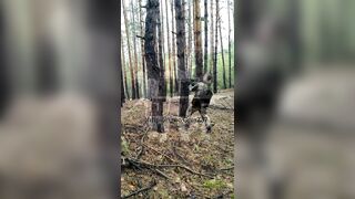 Call of Duty in real life