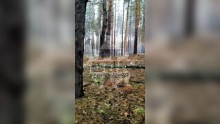 Call of Duty in real life