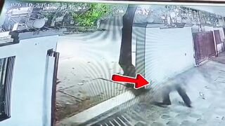 Lazy Management Finally Gets Its Security Guard Crushed