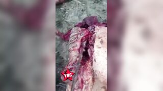 Traffickers Dismember Rivals And Bury Body Parts In Shallow Grave