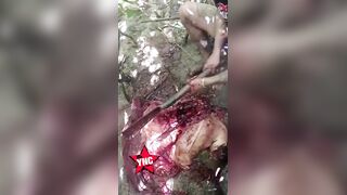 Traffickers Dismember Rivals And Bury Body Parts In Shallow Grave