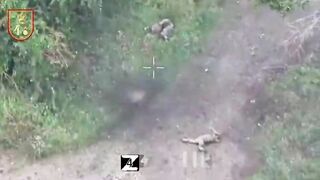 CARNAGE COMPILATION OF UKRAINIANS KILLED BY RUSSIAN DRONES