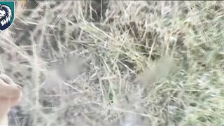 Dead Russians by 34th Brigade. #9