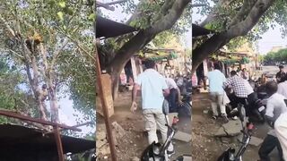 (REPOSTIndia's Phone Genius Masters Tree-to-Concrete Freefall
