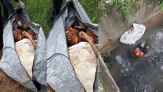 A man, found in pieces, was discovered in a river in Brazil.