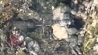 Two dirty katsaps dying from butthurt being droned by single FPV