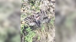 Two dirty katsaps dying from butthurt being droned by single FPV