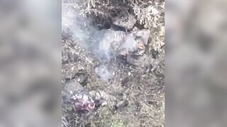 Two dirty katsaps dying from butthurt being droned by single FPV