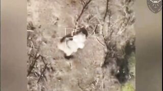 UKRAINIANS DYING IN DONETSK AND ZAPORIZHZHIA
