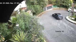 Mexico Tesla Masterclass: When "Autopilot" Means Straight Into a Backyard Demolition