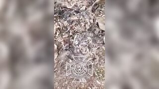 MANY MUMMIFIED UKRANIAN SOLDIERS IN UKRAINE