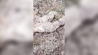 MANY MUMMIFIED UKRANIAN SOLDIERS IN UKRAINE