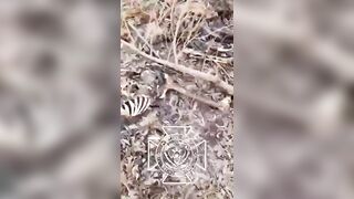 MANY MUMMIFIED UKRANIAN SOLDIERS IN UKRAINE