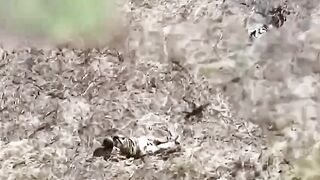 UKRAINIAN SOLDIER SHREDDED BY DRONE